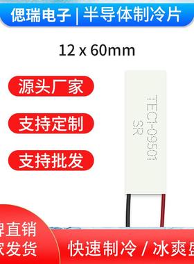 TEC1-09501/12*60mm耐高温半导体制冷片工业级帕尔帖致冷片长方形