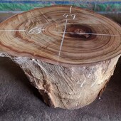 茶几 实木根雕 风化料 脱骨材料 饰 红香樟木墩 民宿装 木桩