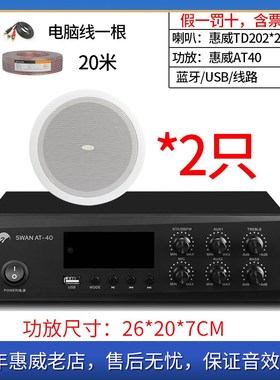 Hii惠威 TD22吸顶喇叭.5寸天花吊顶嵌入式背景音乐音响装