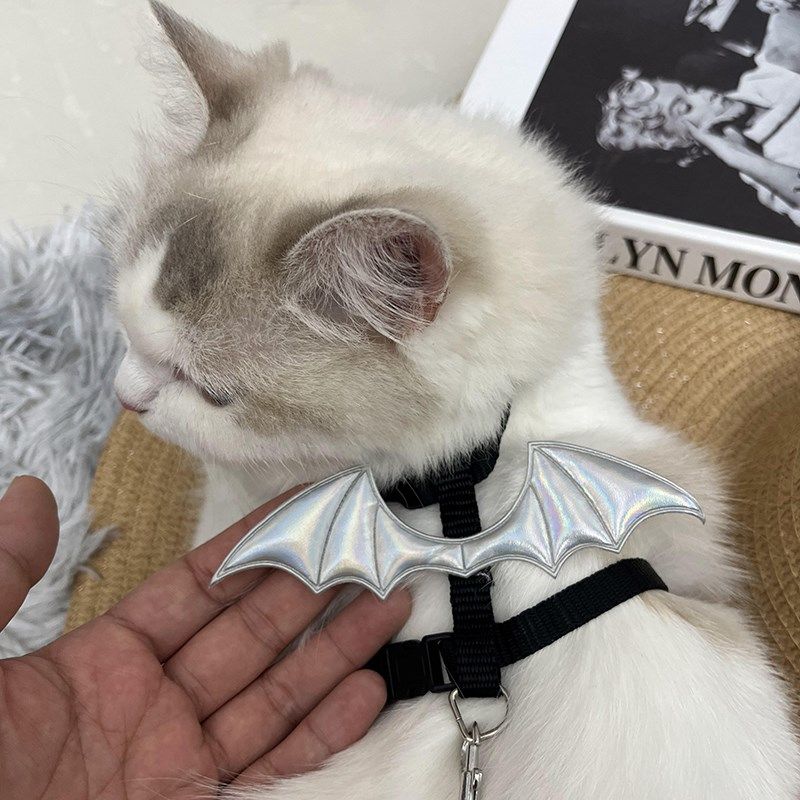 恶魔翅膀猫咪牵引绳外出专用防挣脱猫绳小型犬宠物牵狗遛狗溜猫绳,宠物/宠物食品及用品,猫牵引绳,淘宝优惠券,粉丝福利购,淘宝优惠卷