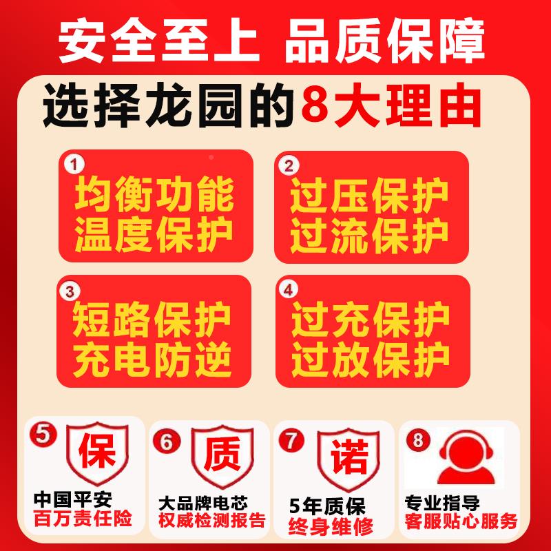 电动车德宁VUS电48v电瓶两二三轮磷酸锂铁锂折叠60v外卖72v伏大容