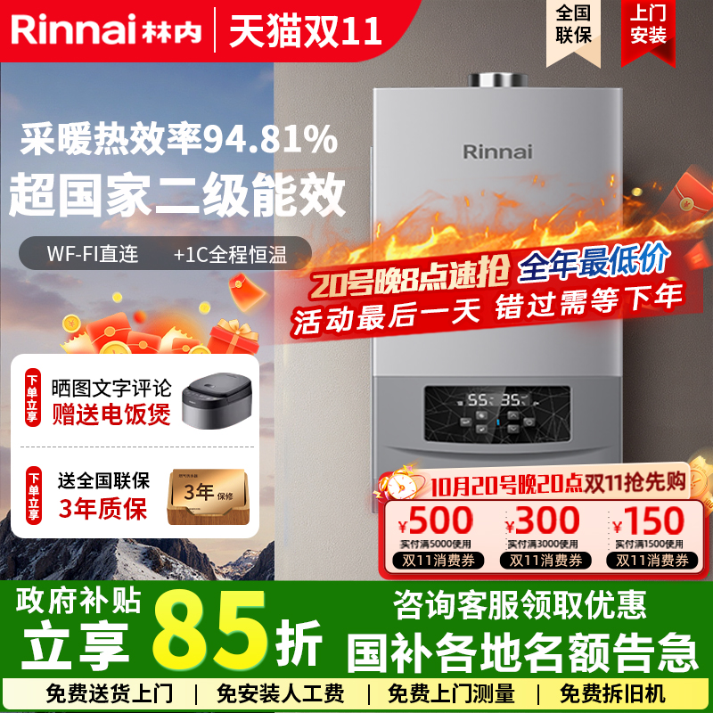 Rinnai/林内壁挂炉两用锅炉