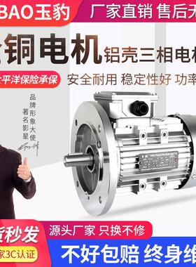 YS全铜铝壳电机0.37/0.55/0.75/1.1/1.5/2.2KW三相异步马达380V