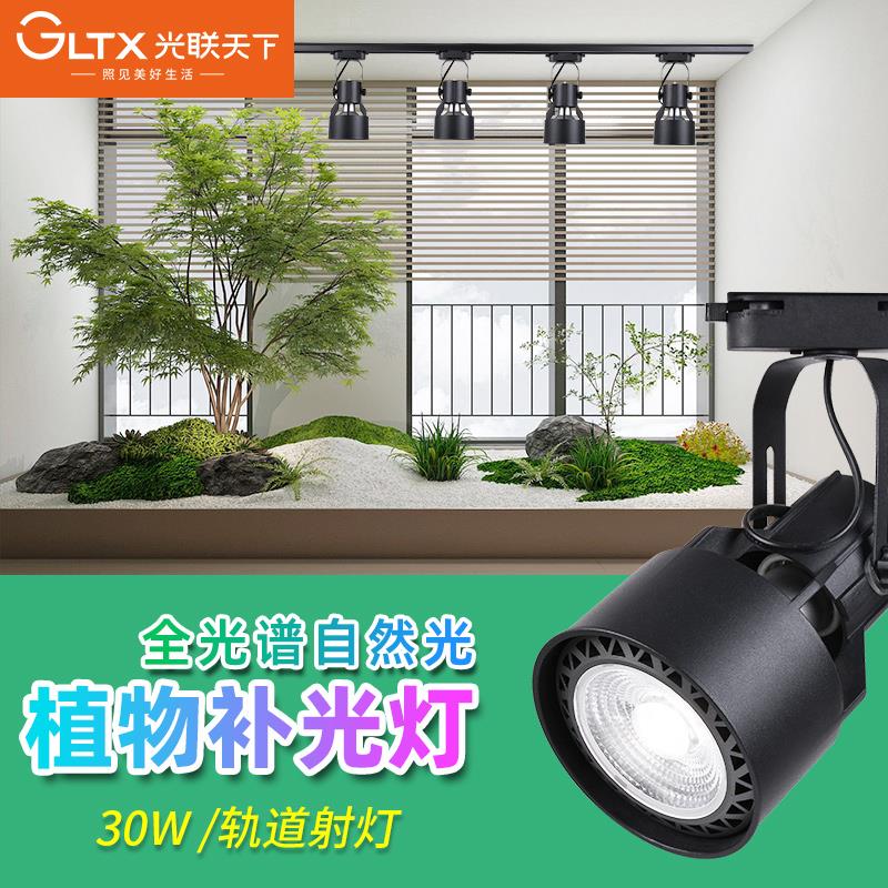 光联天下30W植物生长灯LED轨道射灯全光谱自然光绿植景观墙补光灯