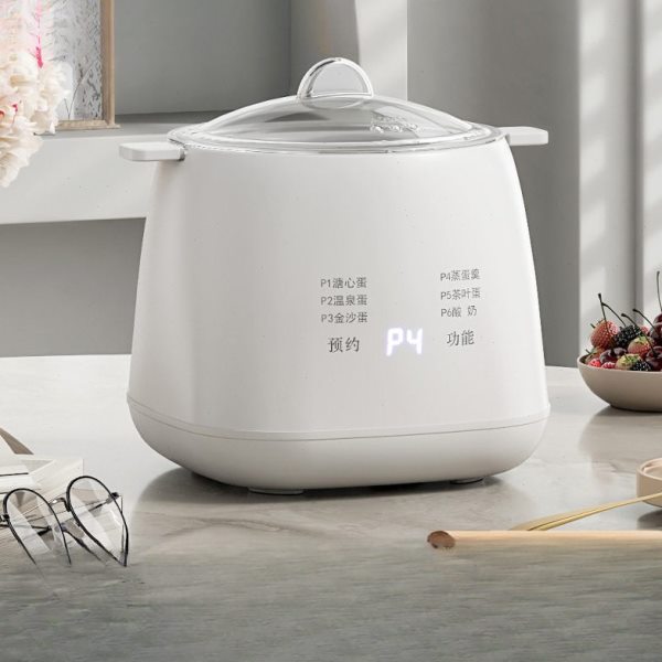 煮蛋器蒸蛋器多功能自动断电家用小型迷你煮鸡蛋新款早餐一件包邮
