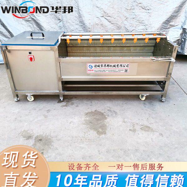 葛根去皮清洗机 商用根茎类蔬菜毛辊清洗机 芋头去皮清洗设备