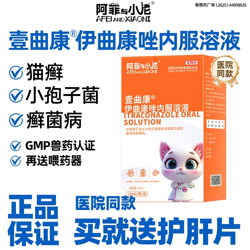 狗癣猫癣真菌皮肤病伊曲康唑内服