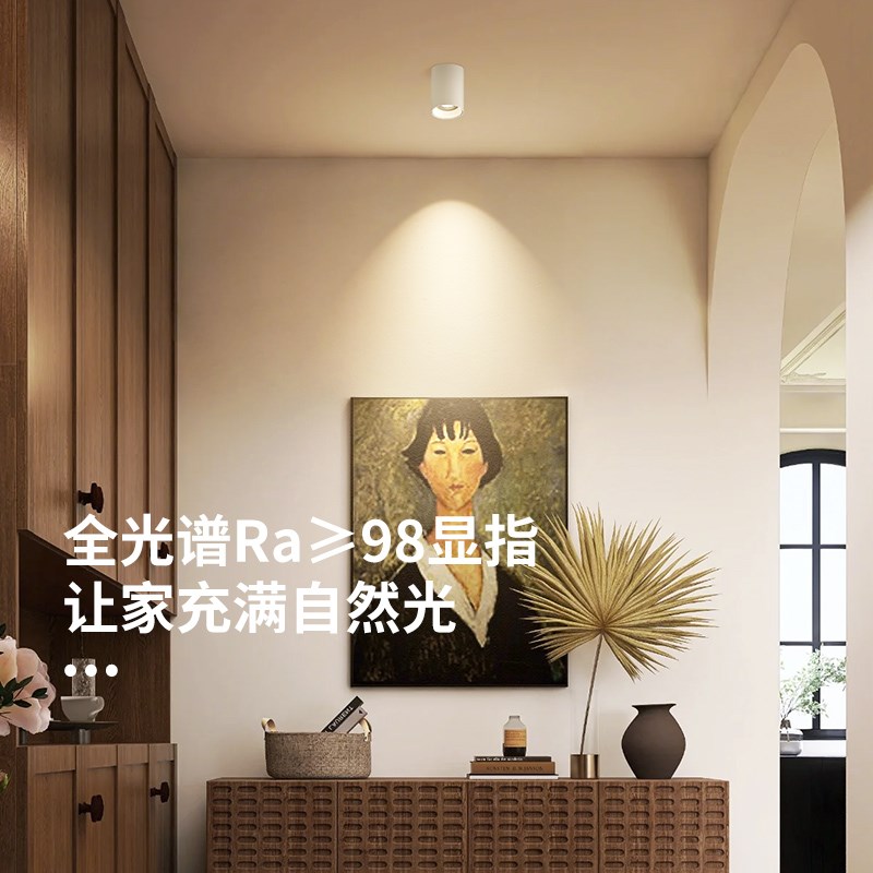 至御明装射灯led防眩光过道玄关迷你天花灯免开孔客厅无主灯M011