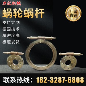 蜗轮蜗杆减速机配件m双导程平面二次包络升降机齿轮轴来图加工定