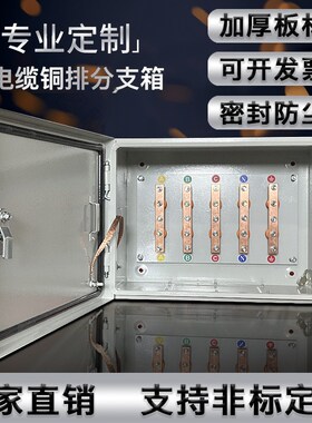 低压矿物质电缆铜排T接箱楼层T型BTTHZ绝缘转换分支箱室内配电箱