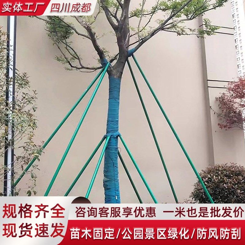 树木支撑杆苗木固定器园林绿化防风工程钢管大树支撑器金属铁抱箍