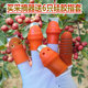 摘花椒 专用工具 神器豆角铁指甲套摘菜神器采摘器拇指刀摘花椒