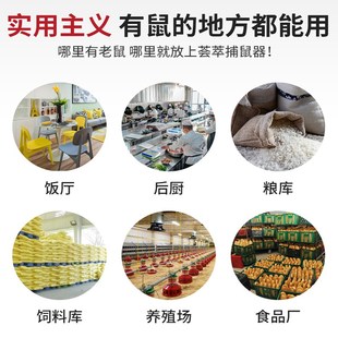 捕鼠神器家用超大新型一窝端抓灭老鼠夹连续全自动陷阱笼商用