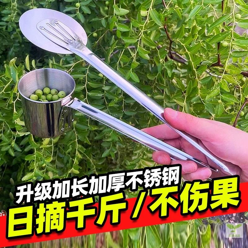 加厚不锈钢新款摘酸枣神器工具采摘山枣子专用摘水果枸杞小枣机器