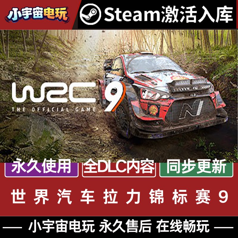 Steam正版WRC9 FIA World世界汽车拉力锦标赛9 国区PC激活码CDKey