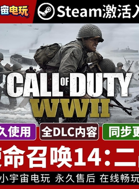 【使命召唤14：二战单机 激活码CDKey入库 Call of Duty®: WWII