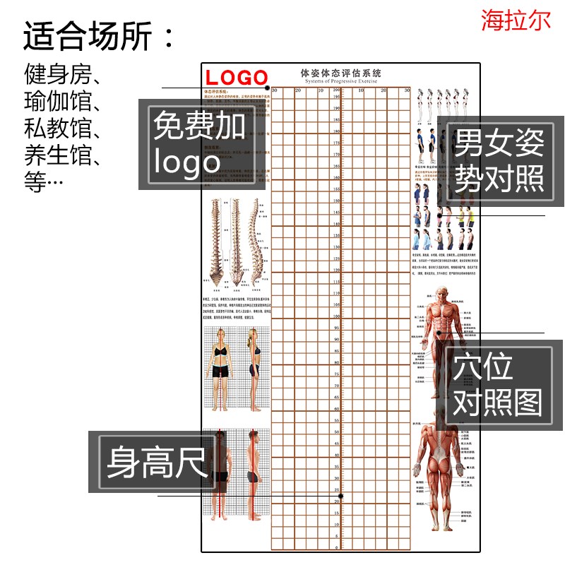 现货挂式体态评估表私教评估墙图养生馆健身馆体测评估图可加logo