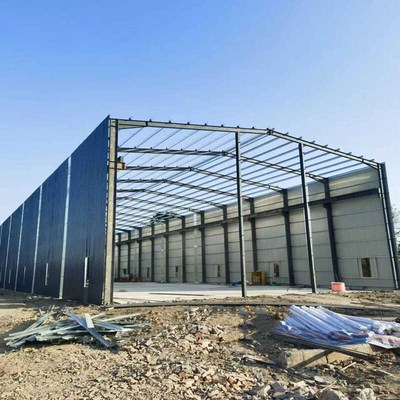 专业钢结构厂房Q235网架钢结构工程工地钢筋棚料仓轻钢搅拌站大棚