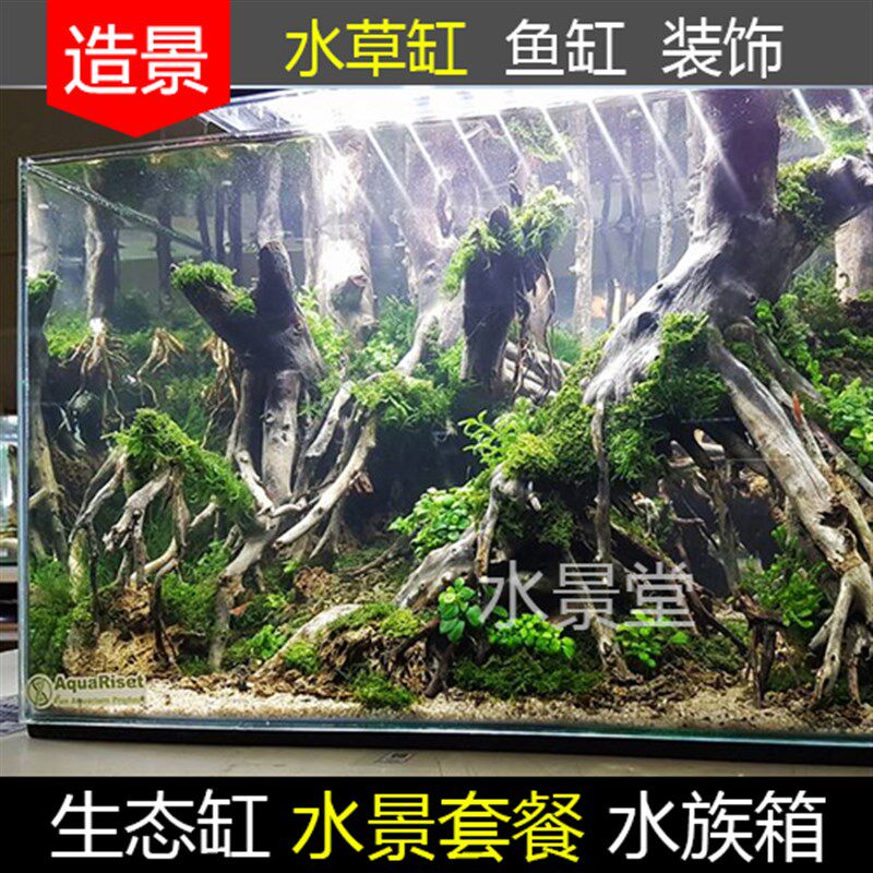沉木造景套餐 生态缸造景 超白玻璃鱼缸客厅小型免换水桌面造景