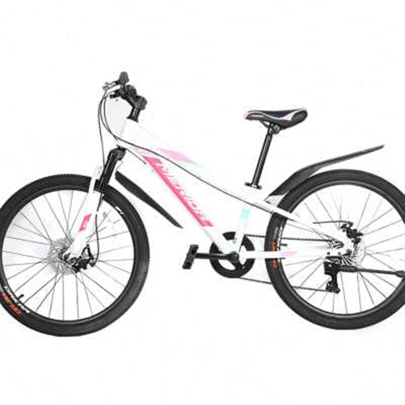 西骑者22-24寸自行车挡泥板山地学生车防雨前泥瓦后挡板全包配件