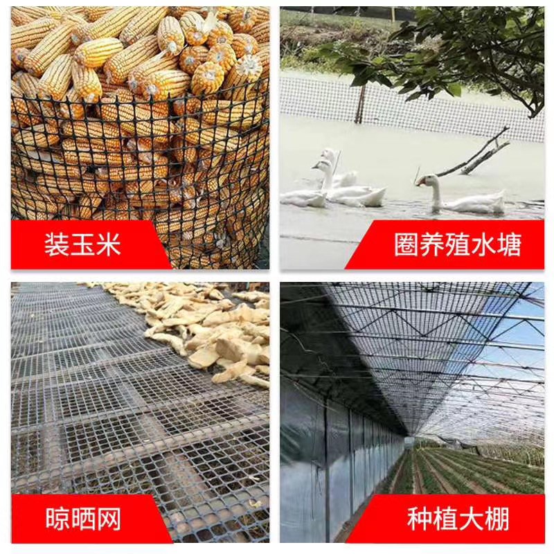 土工格栅塑料网小格养鸡鸭鹅漏粪脚垫养殖网防护家用玉米胶网加厚
