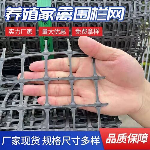 养殖网玉米网塑料网塑料围栏网养鸡网果园围栏防护网特厚新款鸡网