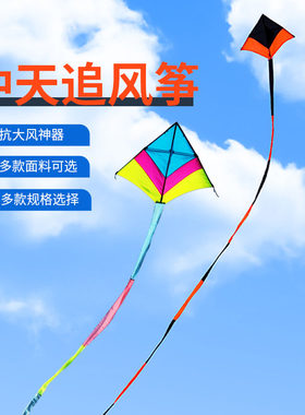 追风者新款冲天追风筝软伞布碳A杆成人大型高档风筝带尾巴大风放