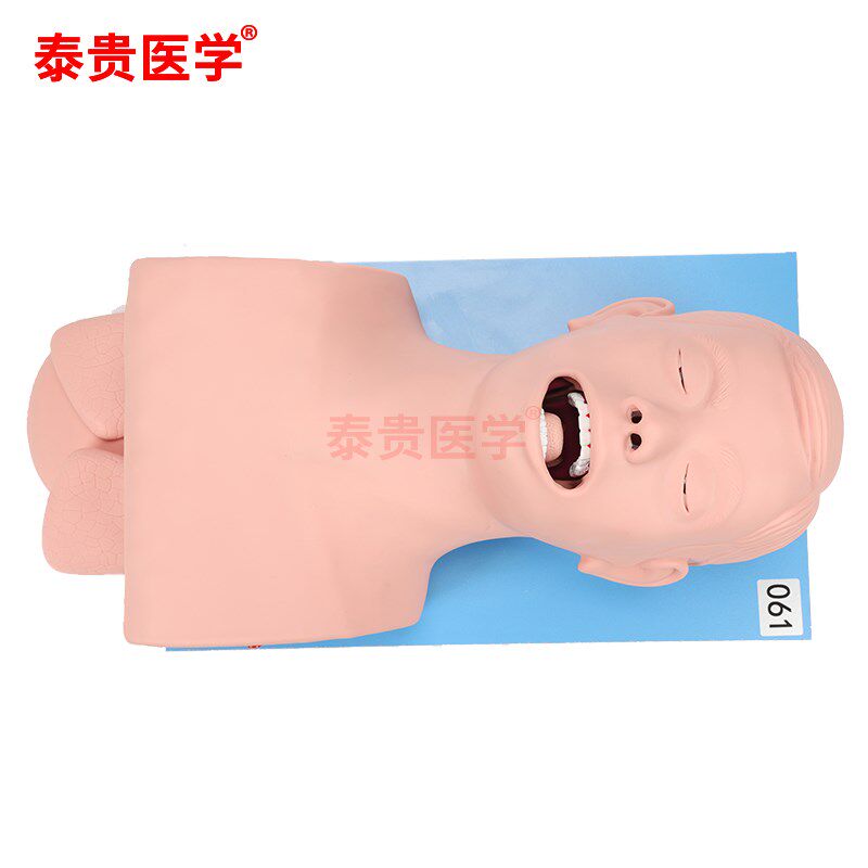 电子人体气管插管模型鼻咽口咽通气道管理急救护理训练报警模拟人