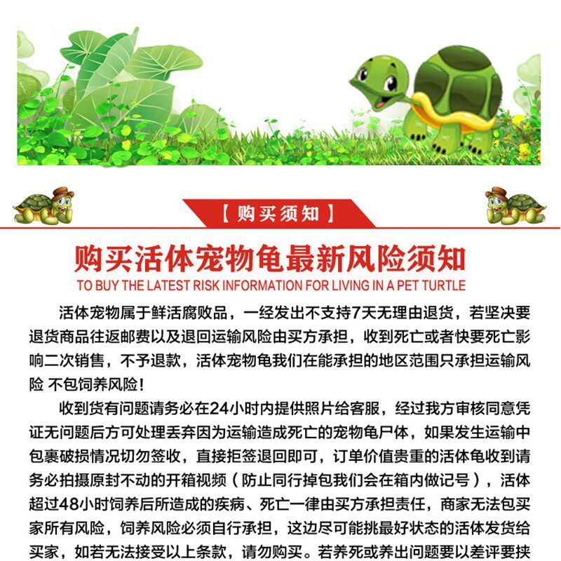 白化佛鳄龟黄化佛鳄魔眼佛鳄中美拟鳄龟观赏龟宠物龟鱼缸深水观赏