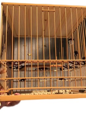 笼方顶【安板留配小叶紫檀尖隼全青套柯成辉】绣眼笼南笼临青配件