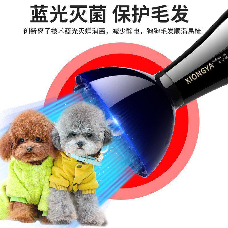 静音大型犬大功率吹风机宠物洗澡金毛阿拉斯加边牧狗狗家用