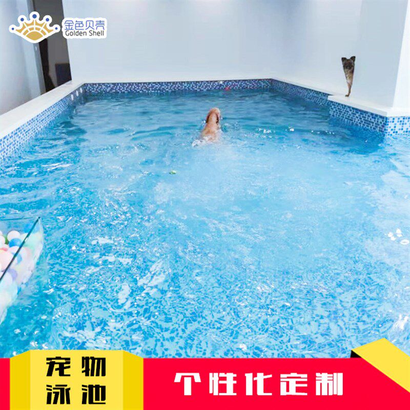 定制狗狗宠物游泳池乐q园训练商用室内钢结构超大型恒温拼装式泳