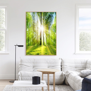 绿色森林大树风景客厅沙发背景墙装饰画树木阳光玄关餐厅卧室挂画