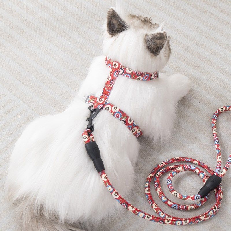 猫咪牵引绳外出专用溜狗绳布偶蓝猫胸背带链防挣脱兔子绳子拴猫绳,宠物/宠物食品及用品,猫牵引绳,淘宝优惠券,粉丝福利购,淘宝优惠卷