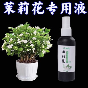 免稀释茉莉花专用营养液家用促开花卉盆栽喜酸植物液体肥花肥料