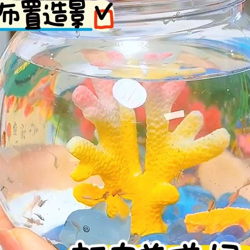 虾宝养成记图益科学小实验套装孵化养殖观察小Q学生玩具男女孩礼