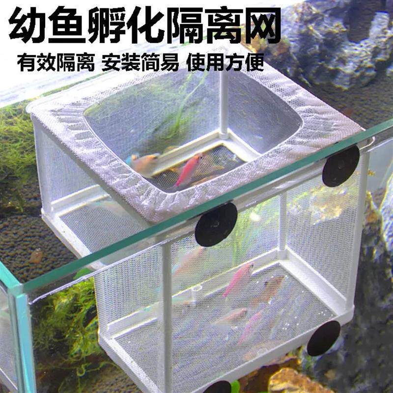 鱼缸分养盒鱼缸孵化幼鱼隔离网水中隔离网繁殖孵化盒中号大号隔离