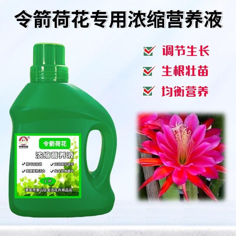 令箭荷花专用浓缩营养液盆栽鱼骨老桩绿植物黄叶开花通用养花肥料