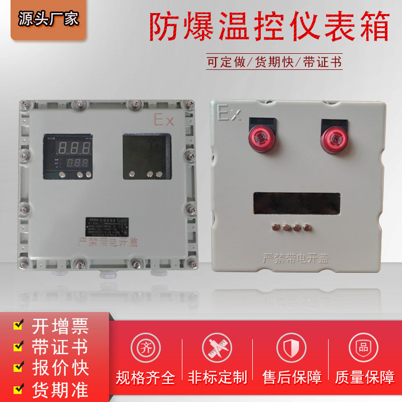 防爆仪表箱数显仪表72*48带按键操作防爆温控配电箱接线盒分线箱