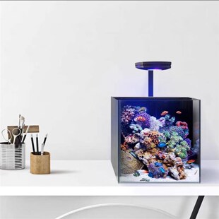 30方背滤海缸套餐二狗水族v新款玻璃小方缸珊瑚桌面新手微缸海水