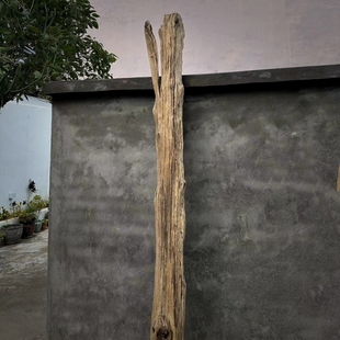 风化木圆木柱子老物件侘寂风空间装饰原木朽木枯木树枝树干