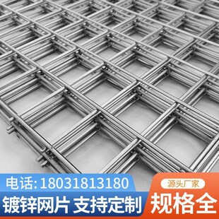 厂促镀锌钢铁丝电焊网片隔网养殖网加格鸽狗笼子粗丝网防护围离栏
