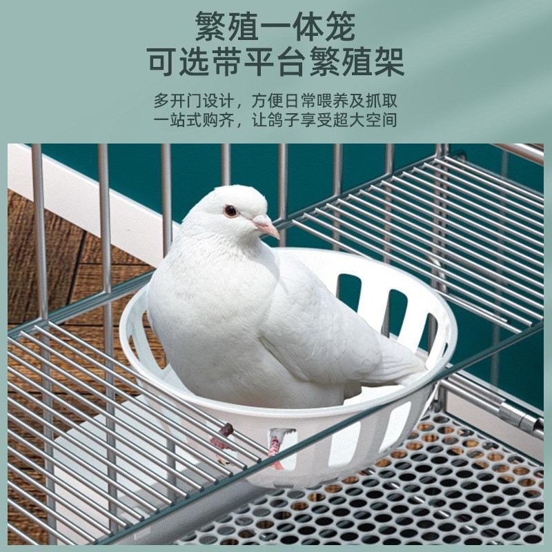 鸽子笼家用养殖笼鸽子配对笼大号鸽子笼家用带隔断繁殖养殖鸽笼清