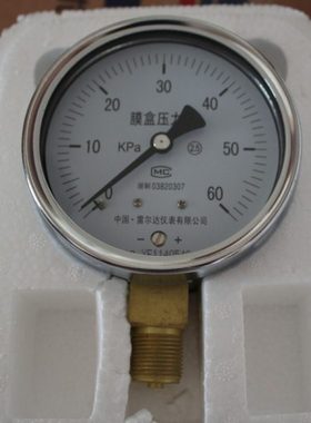 雷尔达仪表 不锈钢 膜盒 压力表 YE-100B 全规格 KPa (LEIERDA)