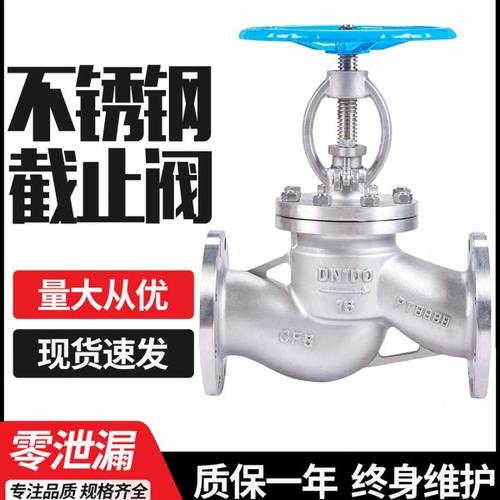远恩不锈钢304国标法兰截止阀J41W-1016/25水高温蒸汽导热油DN100
