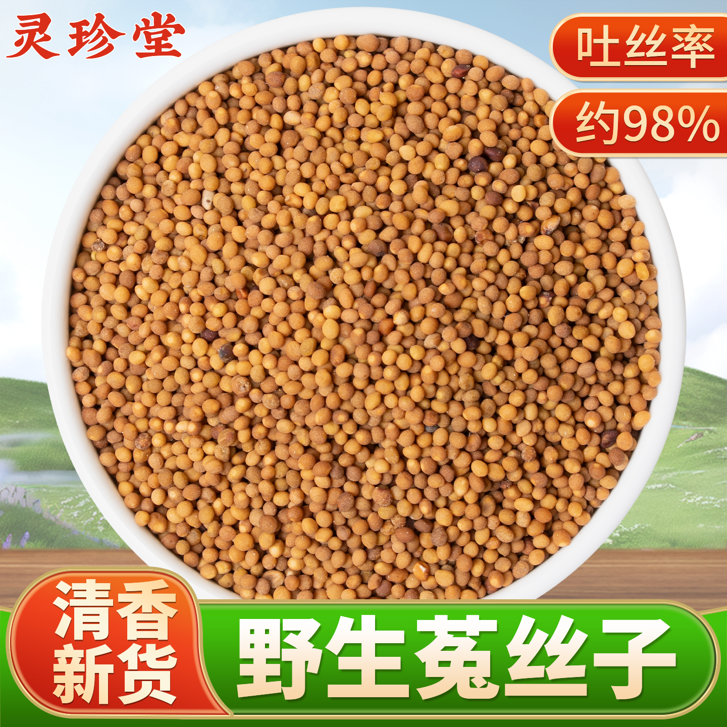 内蒙野生菟丝子中药材正品新货