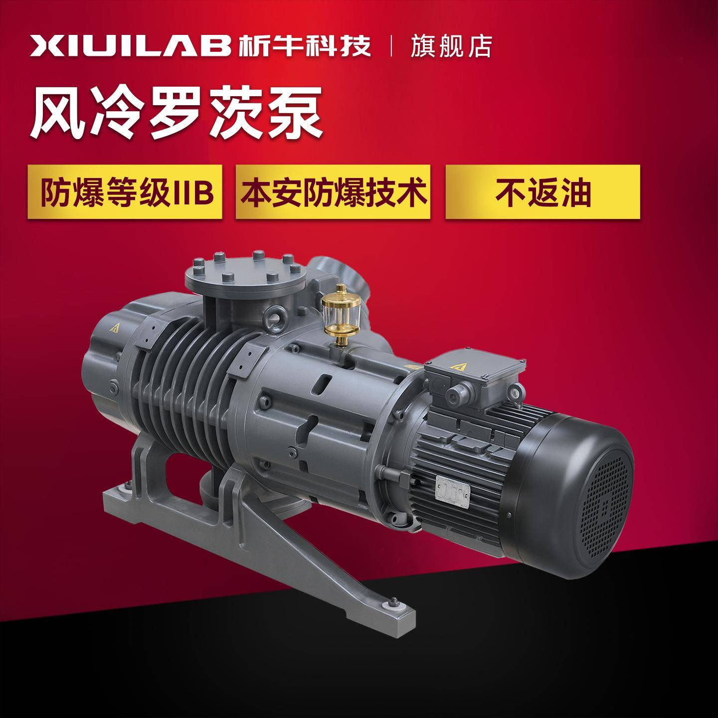 RVP系列风冷罗茨泵实验室工业防爆真空机械增压泵抽气泵