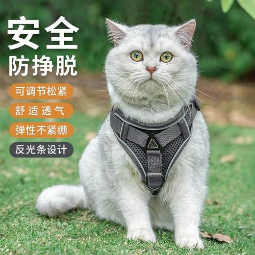 网红猫咪牵引绳背心式外出防挣脱遛猫绳自动伸缩背带溜猫链子