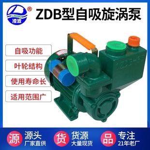 牌1寸ZDB-65小型家用旋涡式自吸高压水泵750W自吸旋涡清水泵