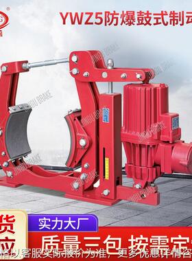 DYW-00/E50 带式输送机专用隔爆型电力液压制动器